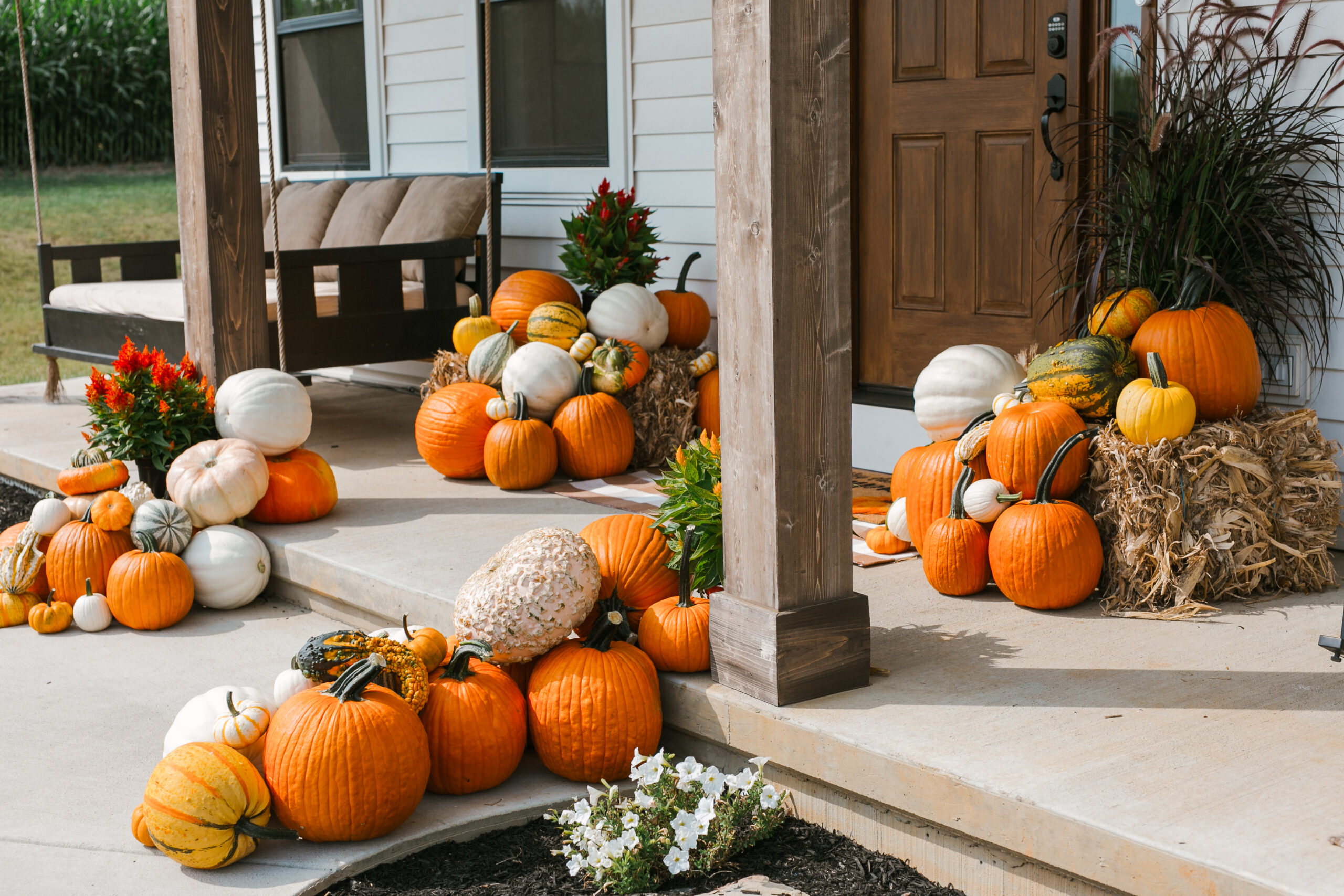 Package 4 - The Fall Festive Package - Image 6